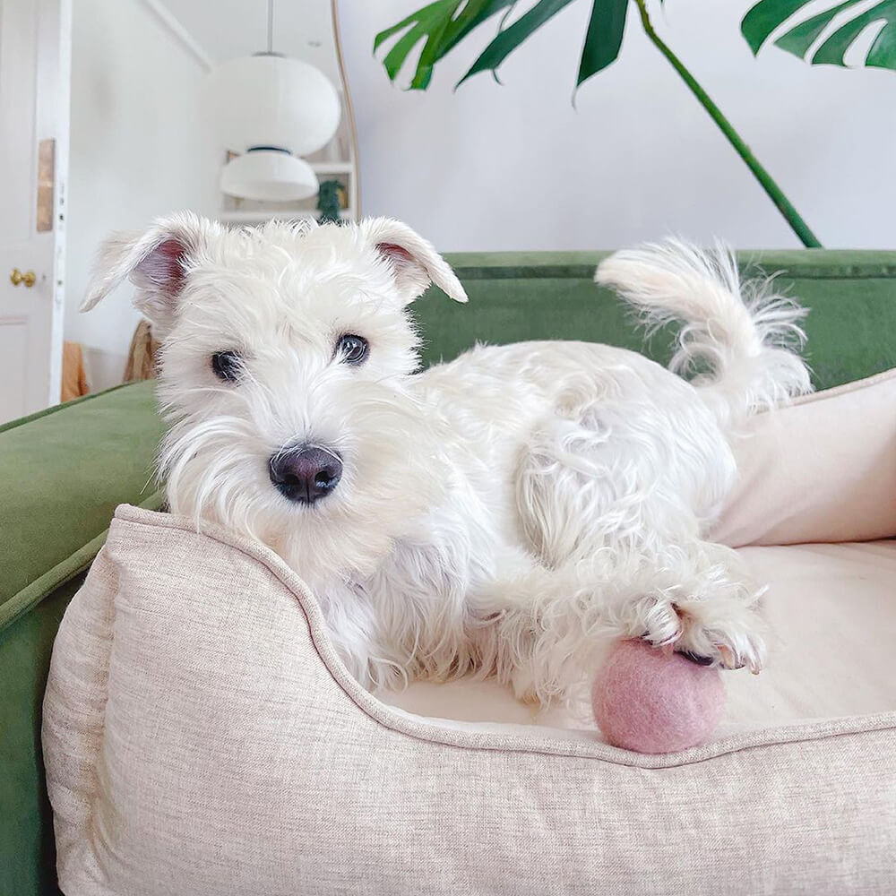 Square Bread Dog Bed