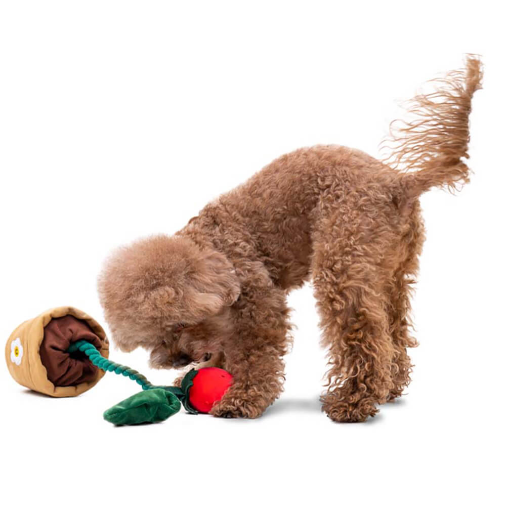 Conjunto de cesta de presente de brinquedo para cachorro | Guloseimas de pelúcia Squeaky Chew lançam brinquedos interativos